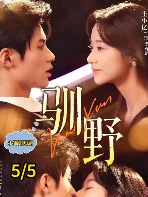 岛屿来信治愈爱情剧在线观看